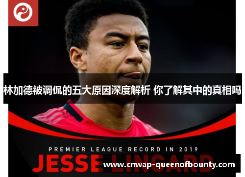 林加德被调侃的五大原因深度解析 你了解其中的真相吗 林加德被调侃的五大原因深度解析 你了解其中的真相吗