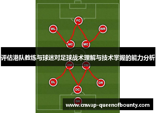 评估港队教练与球迷对足球战术理解与技术掌握的能力分析