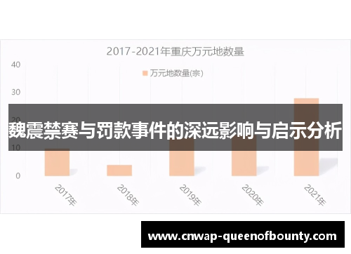 魏震禁赛与罚款事件的深远影响与启示分析